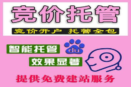 SEM公司案例研究：数据驱动营销策略